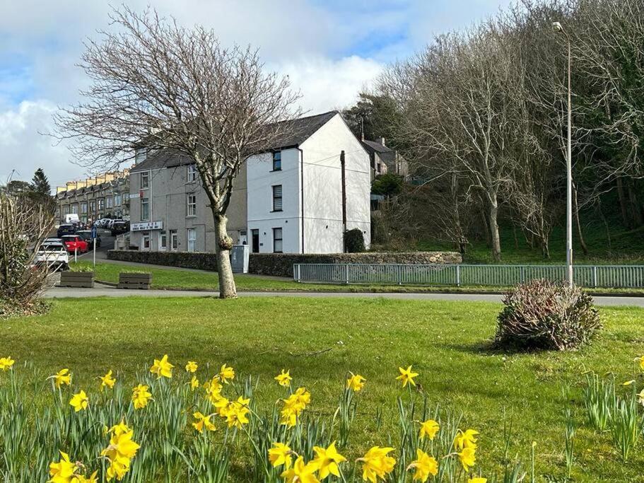 Вилла Caernarfon Modern Townhouse Snowdonia Экстерьер фото
